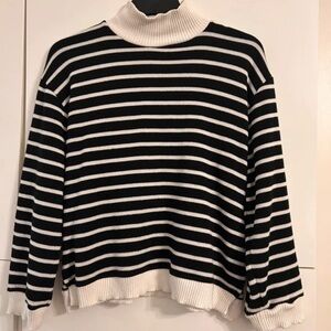 Zara Monochrome Striped Turtleneck Sweater